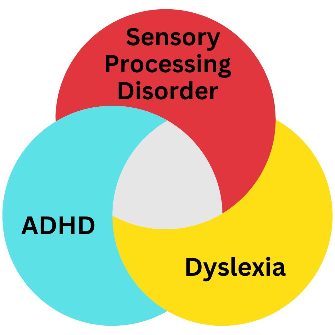 Sensory Processing Disorder: What you need to know.