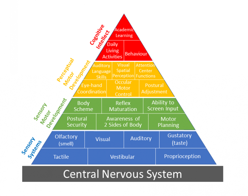 http://northshoreot.com/wp-content/uploads/2019/01/Pyramid-of-Learning-e1546513283649-846x667.png