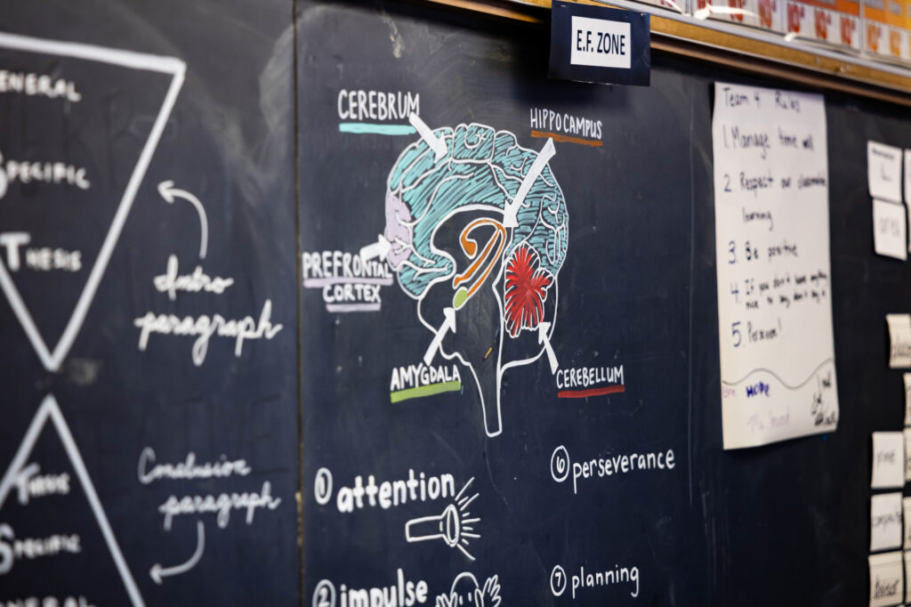 Educational classroom display illustrating science concepts at Horizon Academy.