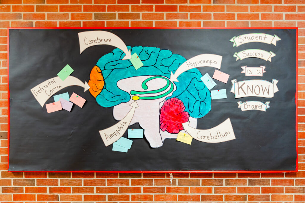 Decorative wall mural inside Horizon Academy.