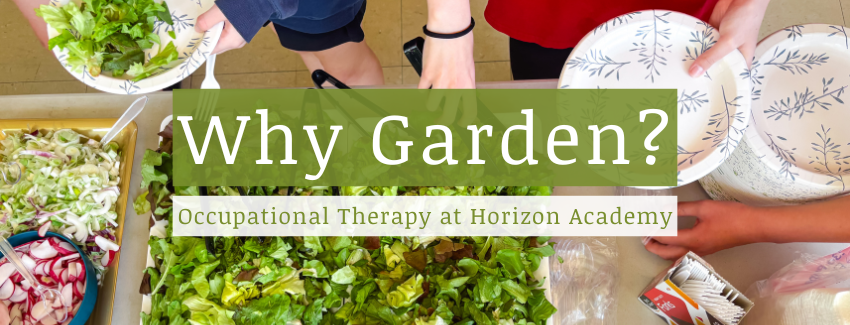 Blog title for "Why Garden? Occupational Therapy at Horizon Academy" with background image of student getting salad on their plates.