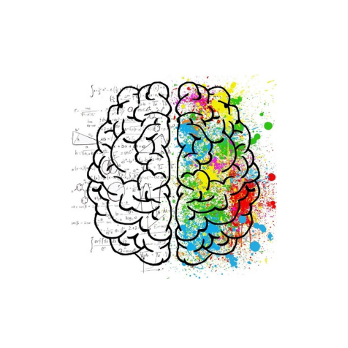 Illustration of a human brain divided into two distinct hemispheres. The left hemisphere is drawn in black and white, filled with mathematical formulas, geometry diagrams, and scientific equations. The right hemisphere is brightly colored with vibrant paint splatters in yellow, green, blue, and red to represent creativity.