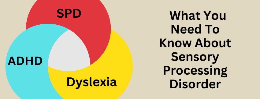 Graphic banner titled "What You Need To Know About Sensory Processing Disorder". On the left is a Venn diagram with three overlapping circles labeled SPD in red, ADHD in light blue, and Dyslexia in yellow, highlighting their intersection in the center.