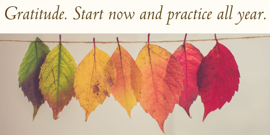 Graphic banner featuring the italicized text "Gratitude. Start now and practice all year." at the top. Below the text, seven colorful autumn leaves transition in a gradient from green to yellow, orange, and deep red, hanging upside down from a thin twine string.