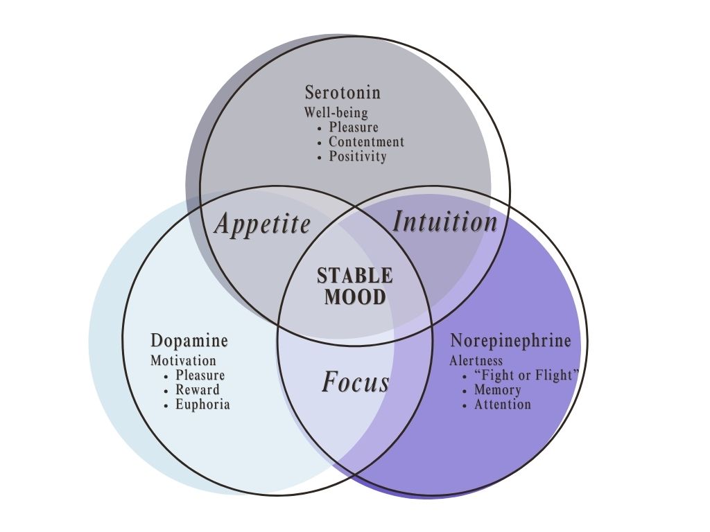 A three-circle diagram links serotonin, dopamine, and norepinephrine to appetite, intuition, and focus; their overlap forms a stable mood, suggesting balanced well-being.